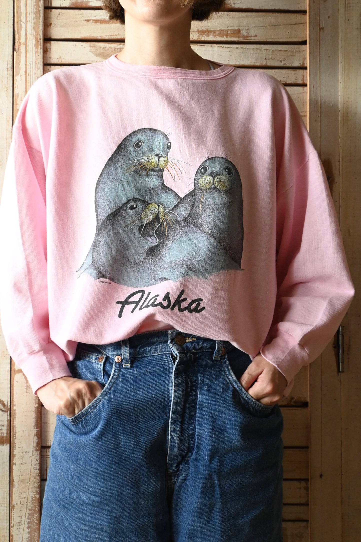 80's Sweat shirt/Alaska