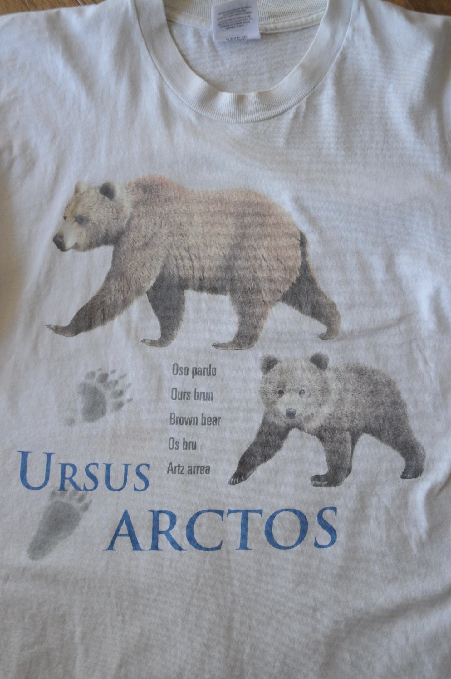 90's Tee/Ursus arctos