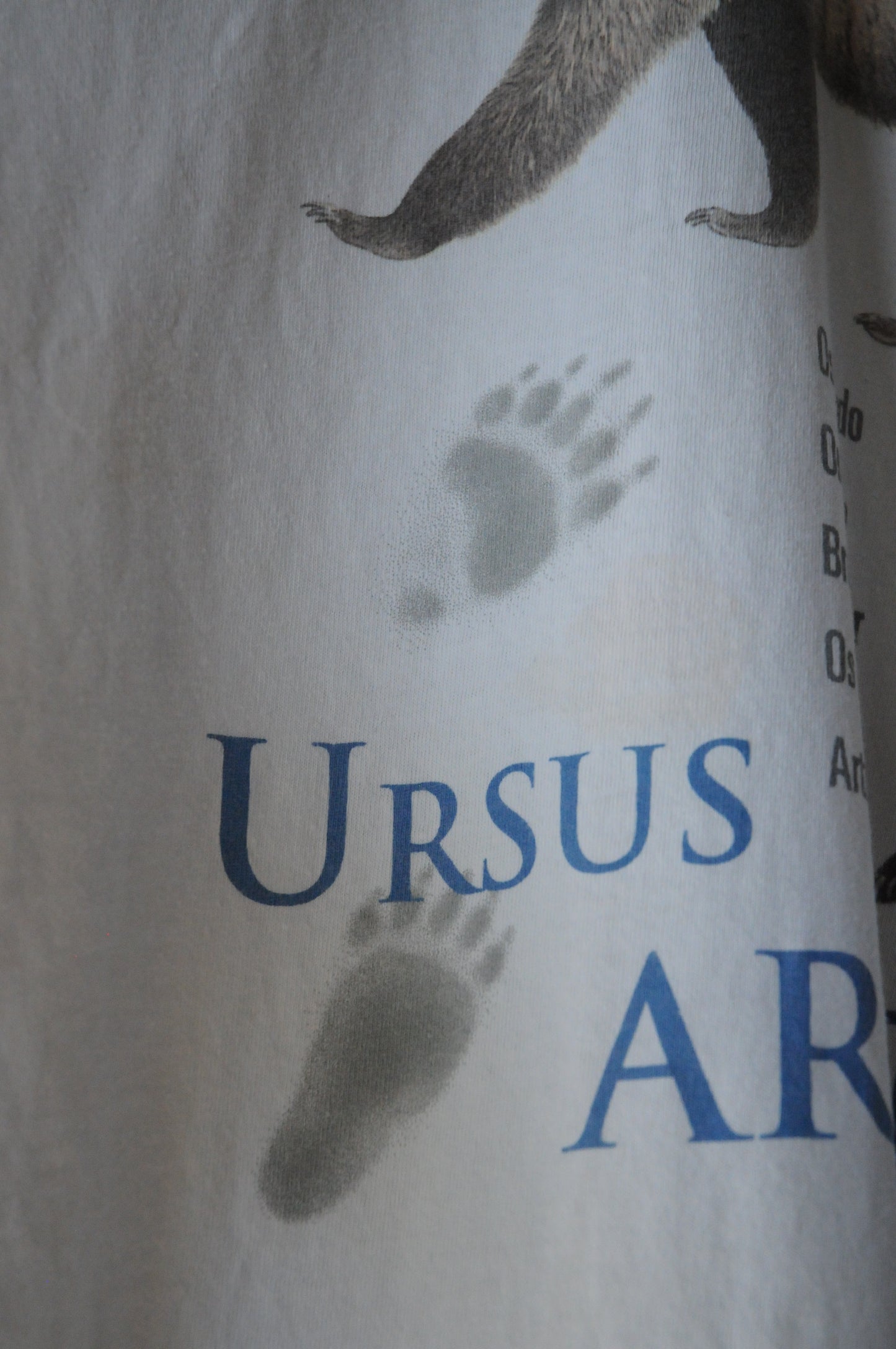 90's Tee/Ursus arctos