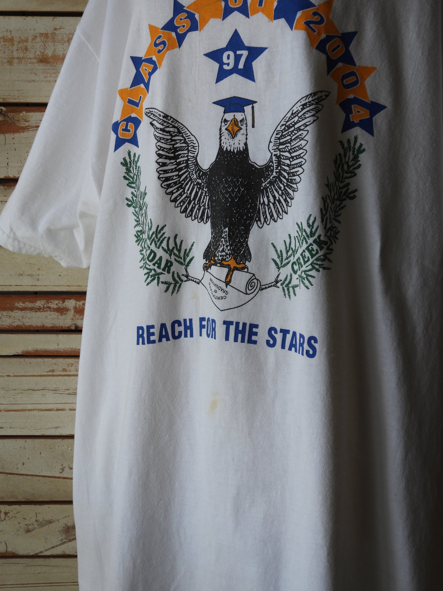 Tee/REACH FOR THE STARS