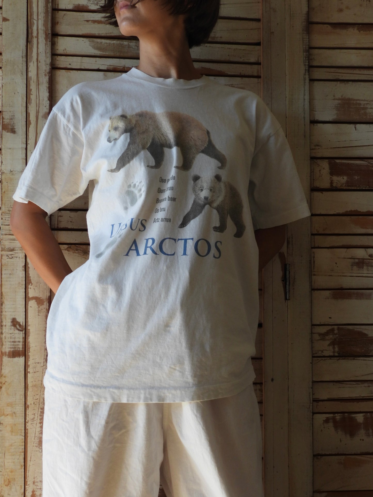 90's Tee/Ursus arctos