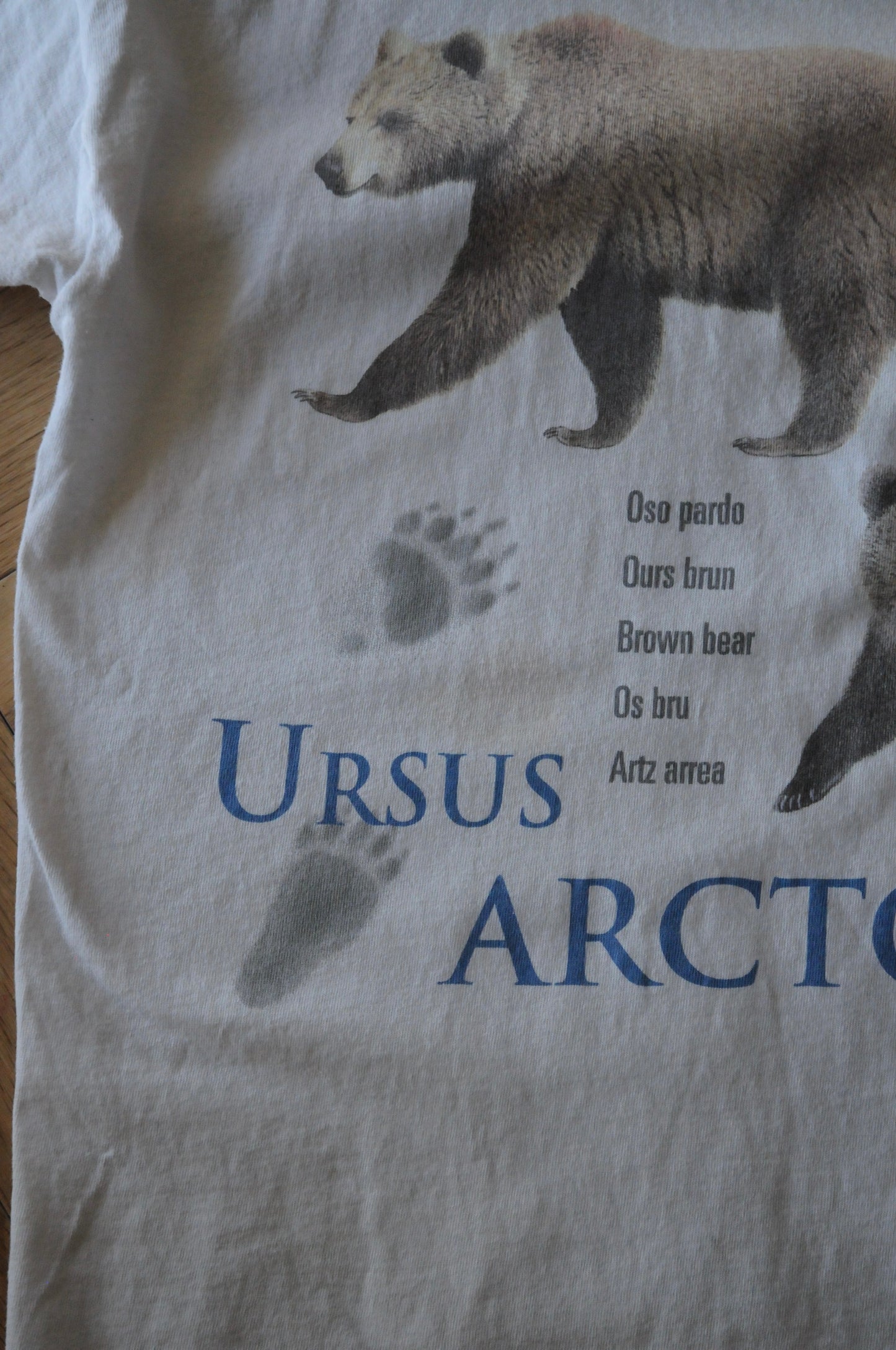 90's Tee/Ursus arctos