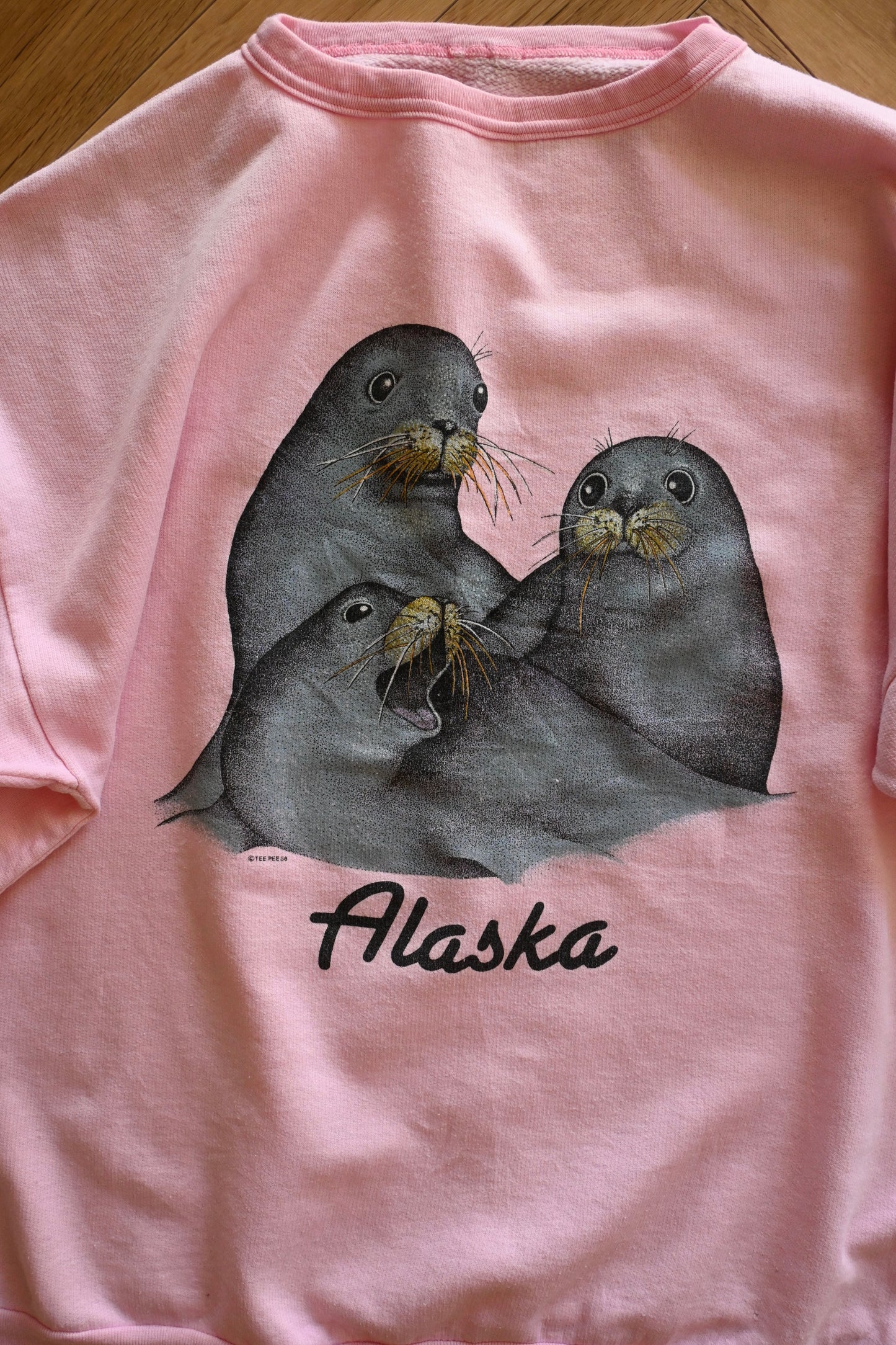 80's Sweat shirt/Alaska
