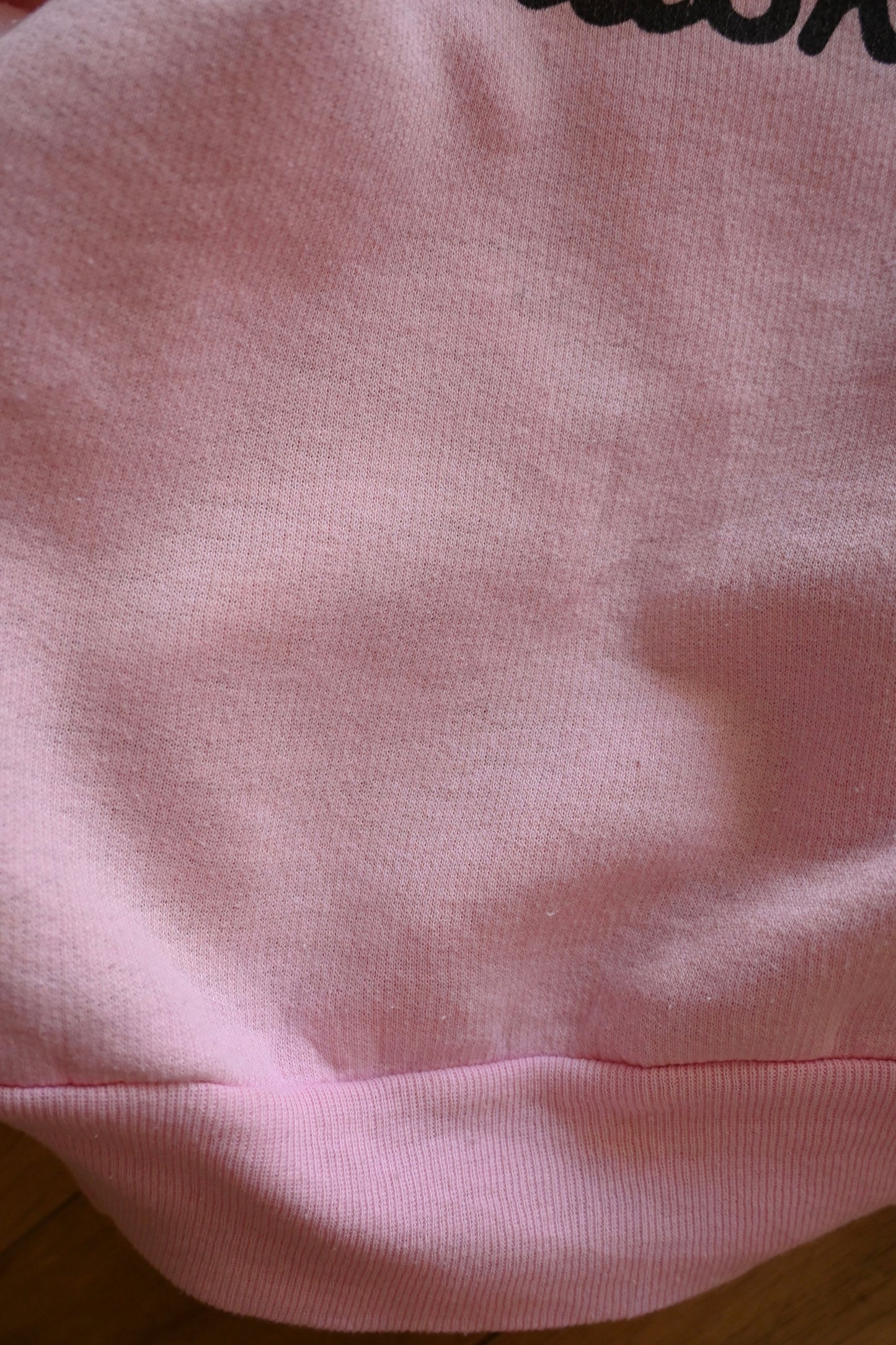 80's Sweat shirt/Alaska