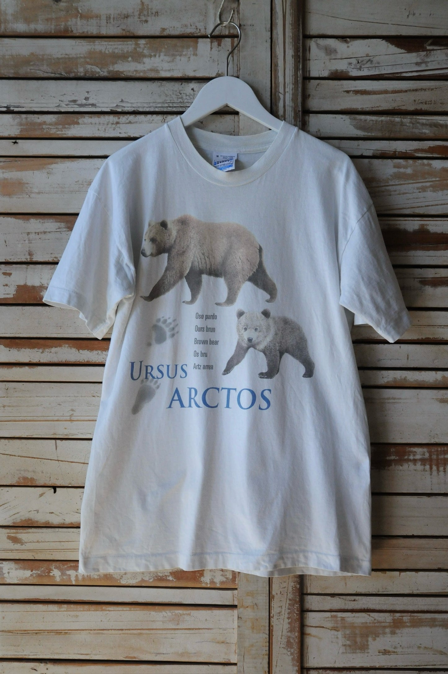 90's Tee/Ursus arctos