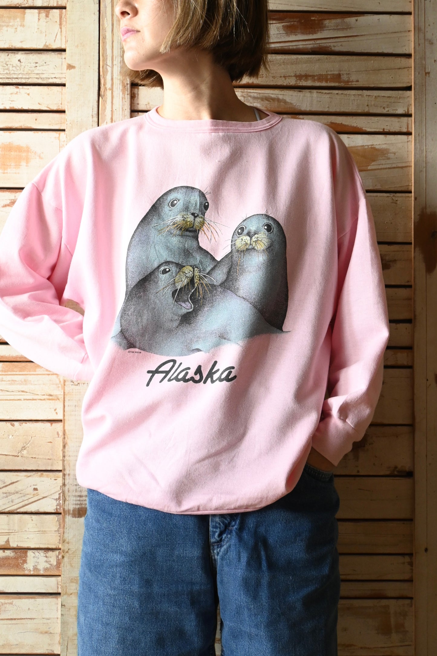 80's Sweat shirt/Alaska