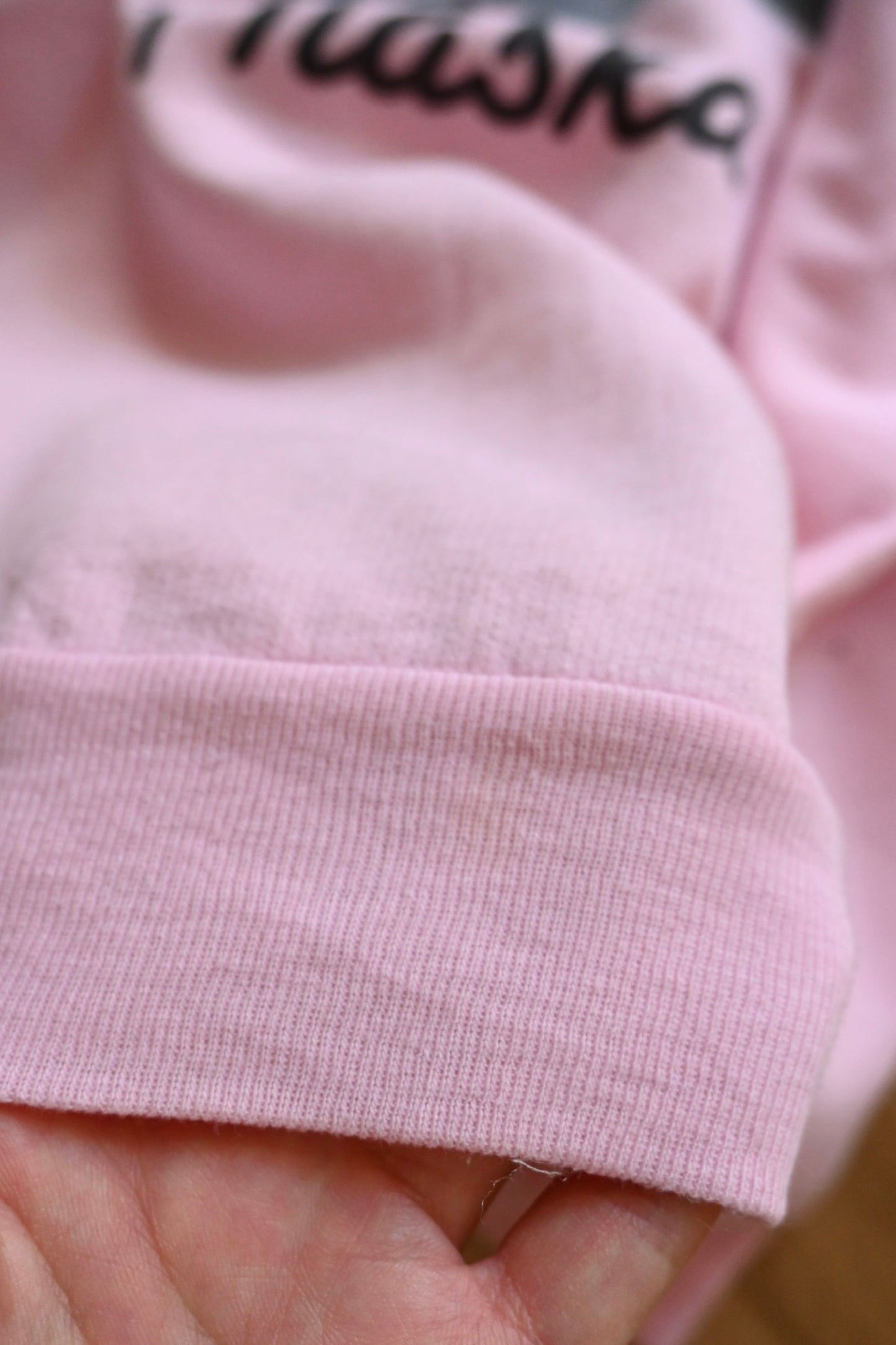 80's Sweat shirt/Alaska