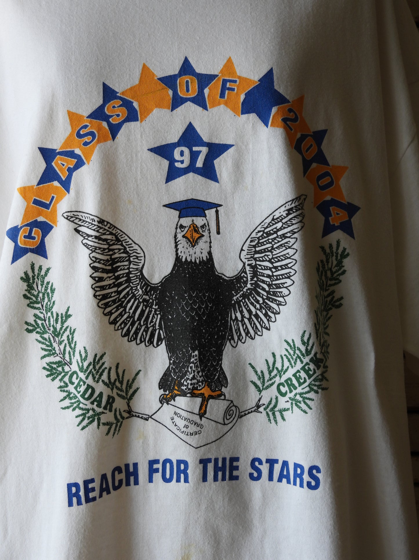 Tee/REACH FOR THE STARS